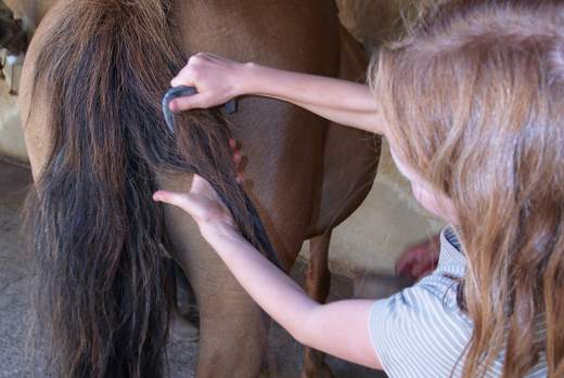 maternelle-sport.jpg -